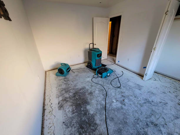 Best Water damage restoration services  in Mulberry, NC
